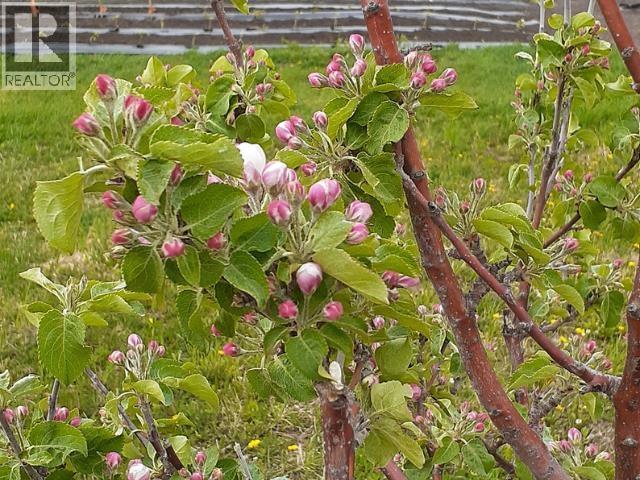 17053 PRESPATOU ROAD - 23