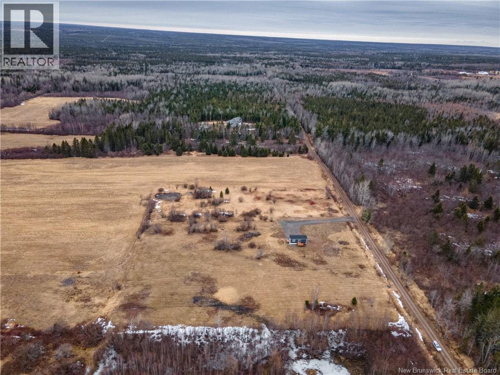 54 GRIFFIN ROAD - 26