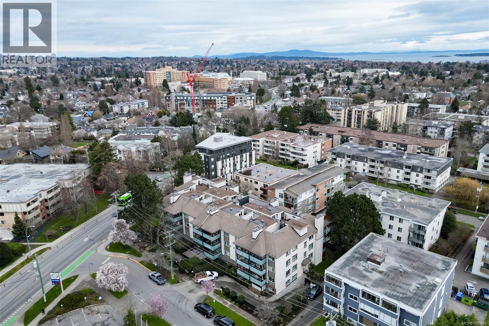 201 1619 Morrison St, Victoria