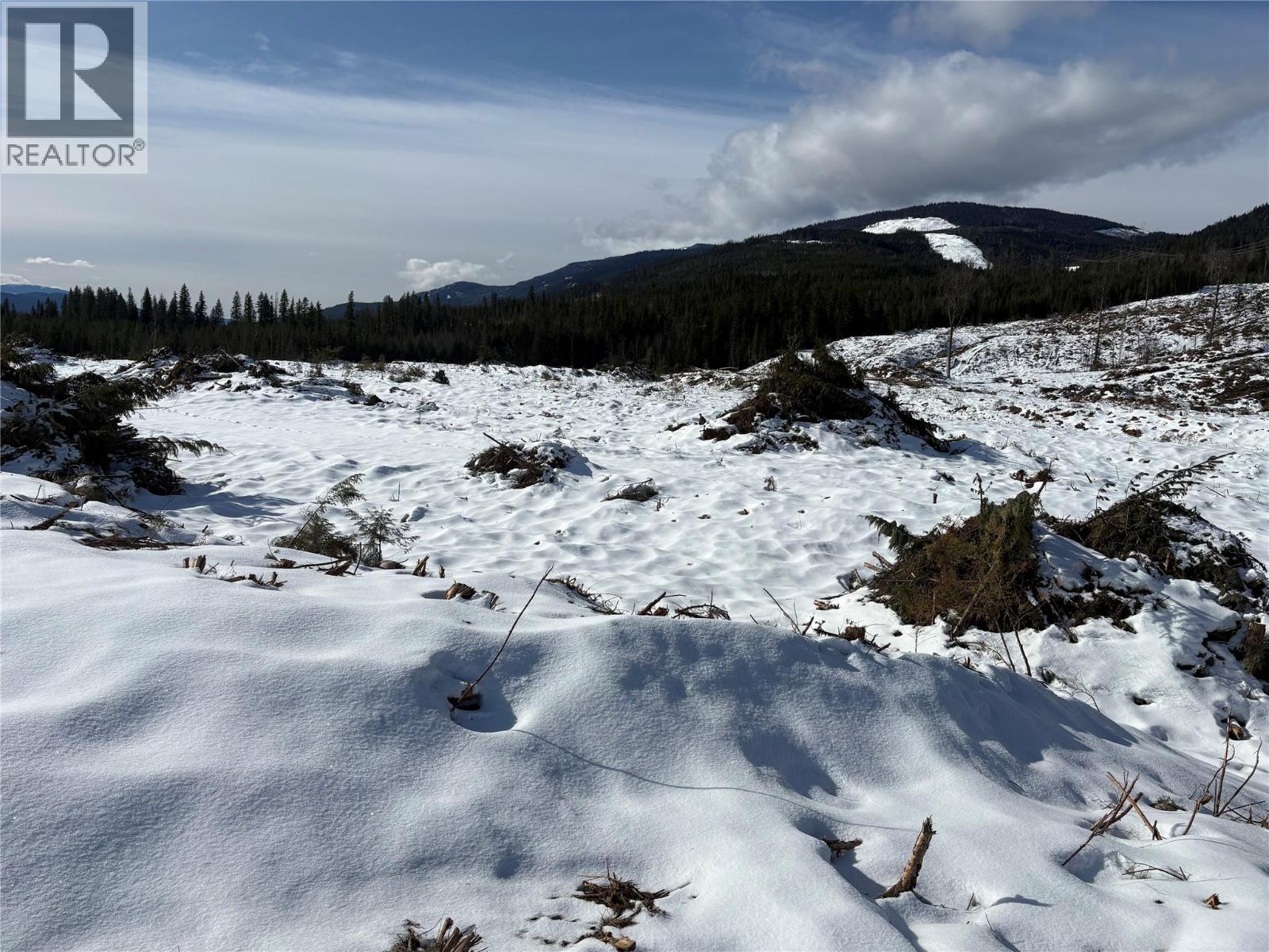  1020 Forest Service Road Seymour Arm Road, Seymour Arm