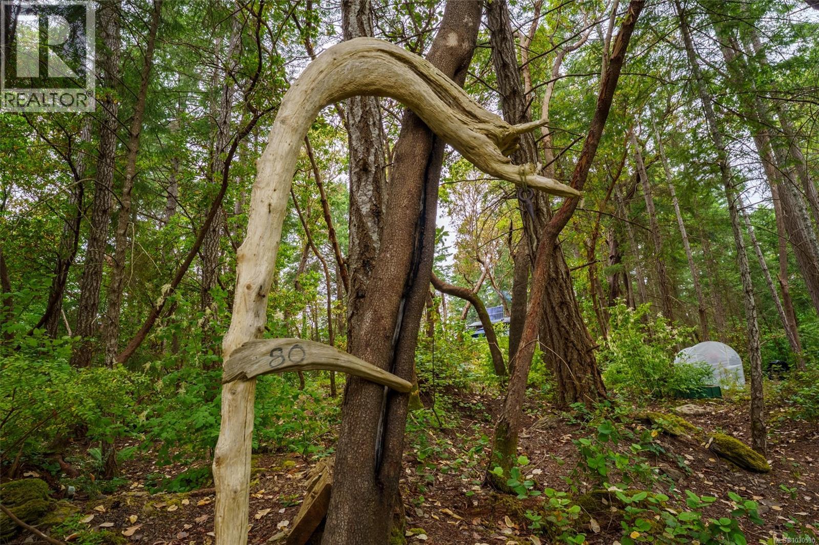 LOT 80 RUXTON ISLAND - 49