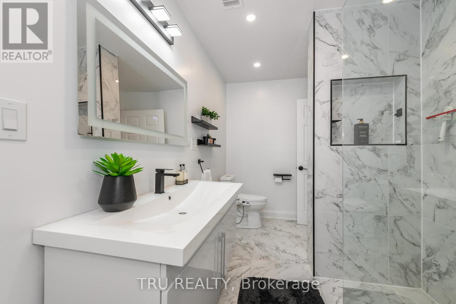 Bathroom in Basement