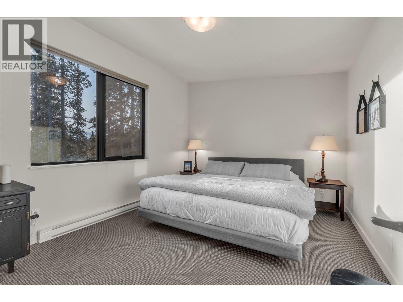 1405 Apex Mountain Road - 17