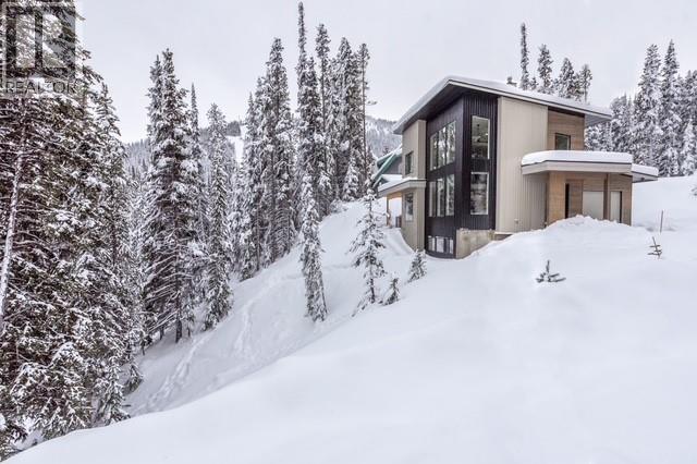 1405 Apex Mountain Road - 29