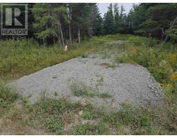 Lot 8 Mountain Road, River Tillard, NS B0E2X0 Photo 8
