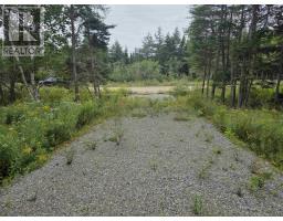 Lot 8 Mountain Road, River Tillard, NS B0E2X0 Photo 9