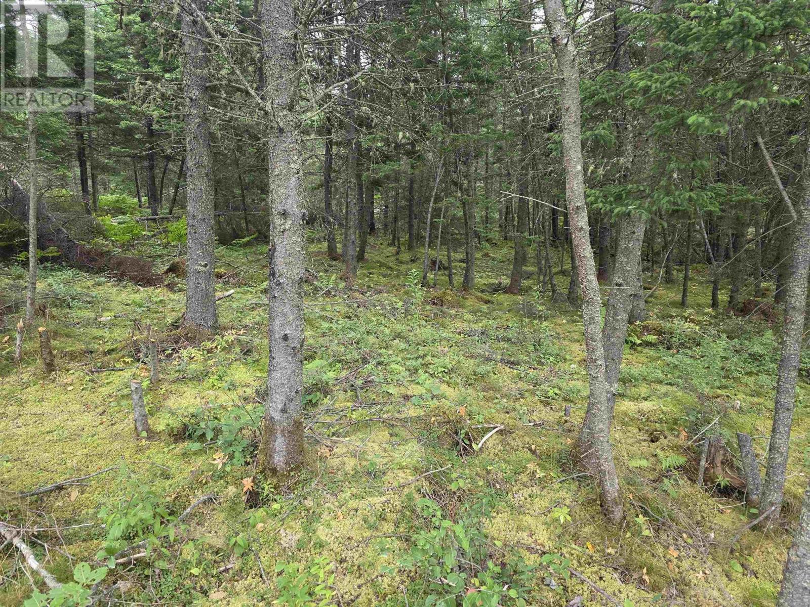 Property 8 of 10 of Lot 8 Mountain Road