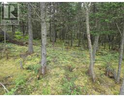 Lot 8 Mountain Road, River Tillard, NS B0E2X0 Photo 10