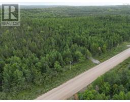 Lot 8 Mountain Road, River Tillard, NS B0E2X0 Photo 7