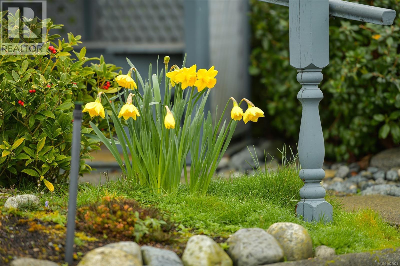 #7 5156 CORDOVA BAY RD - 57