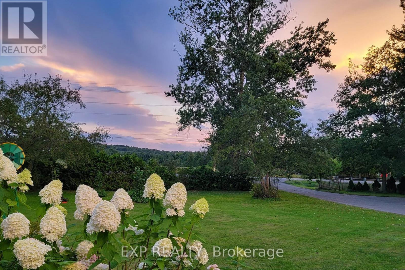 4802 COUNTY ROAD 29 ROAD — photo 37