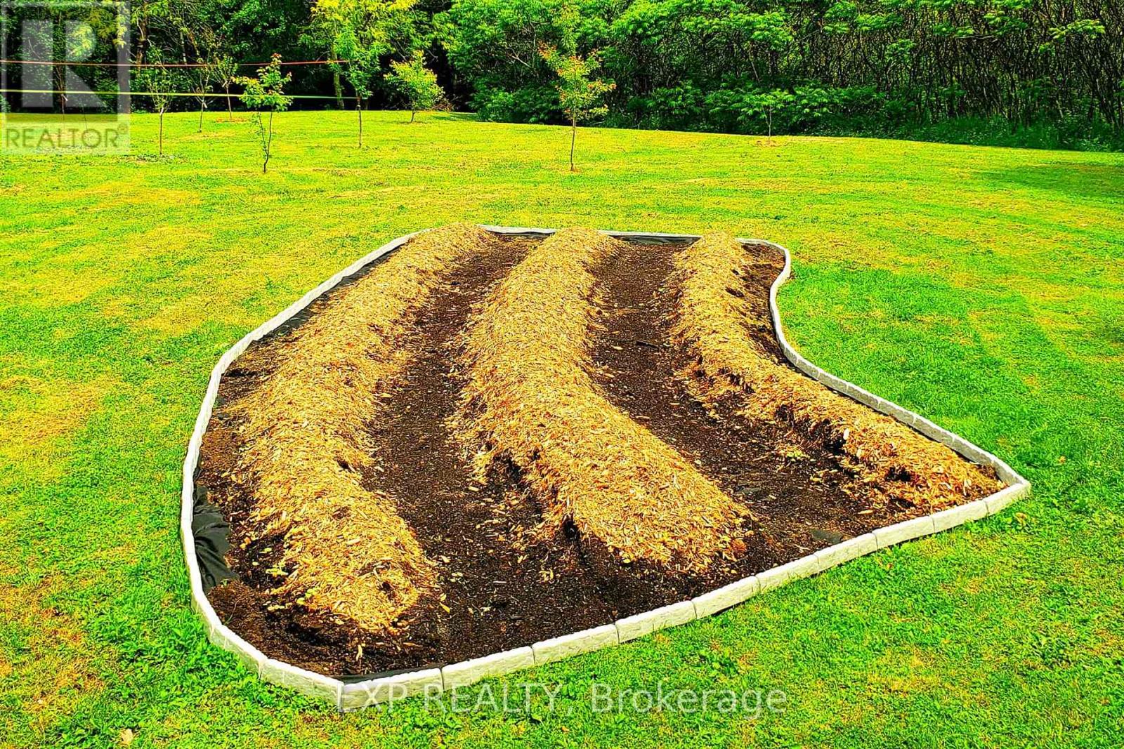 4802 COUNTY ROAD 29 ROAD — photo 45