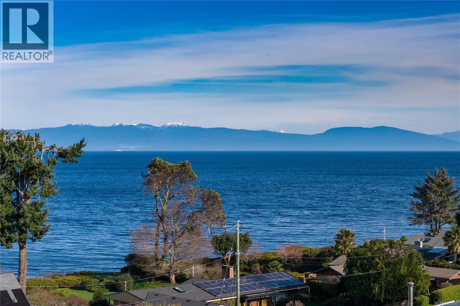 7158 DICKINSON RD - 50