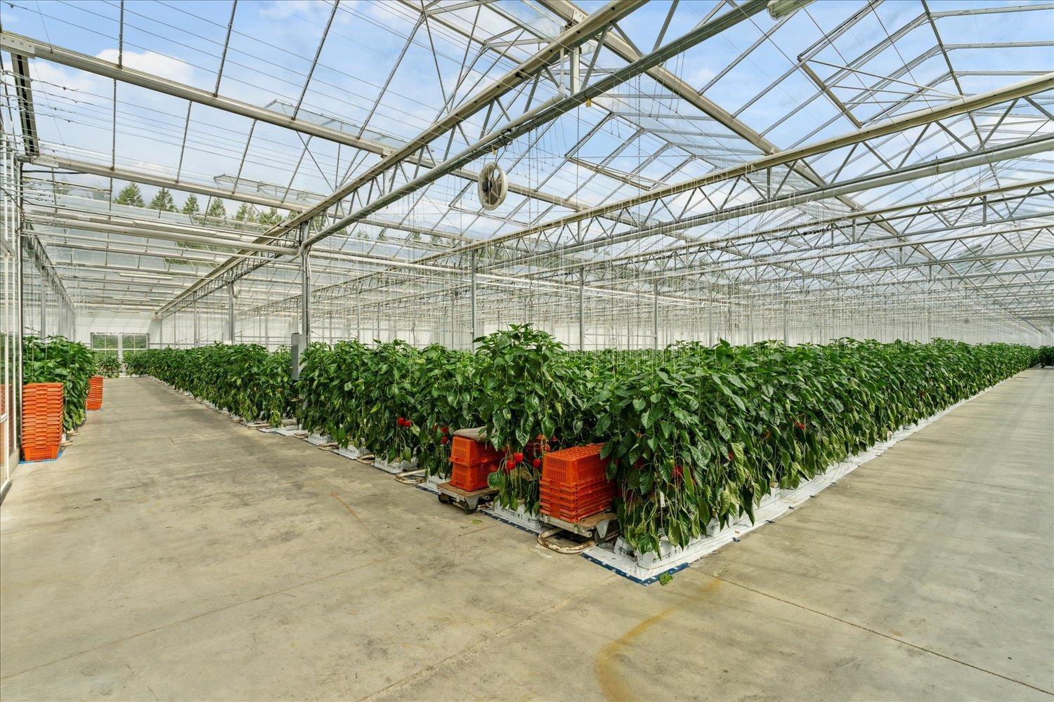 1501 JOHNSON ROAD, Agassiz, Agassiz