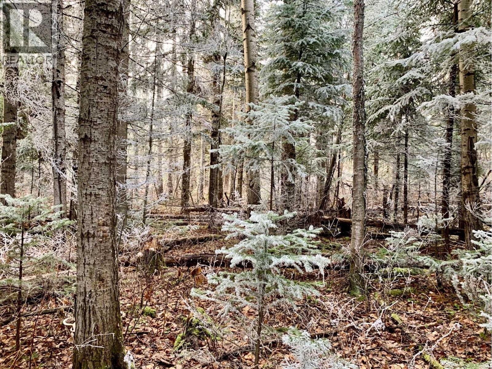 Primary bedroom of 1475 KUENG ROAD · Prince George, BC