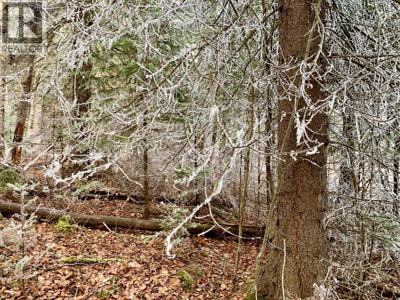 Bathroom of 1475 KUENG ROAD · Prince George, BC