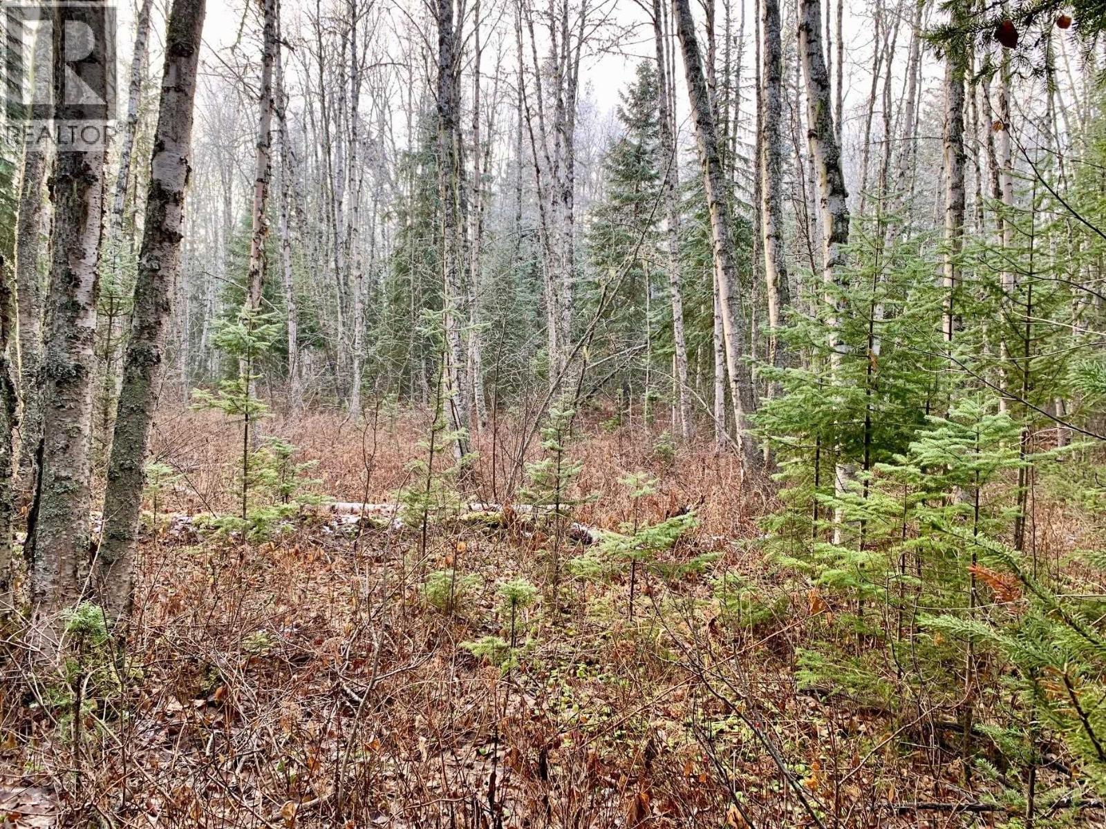 Photo 9 of 28 — 1475 KUENG ROAD · Prince George, BC