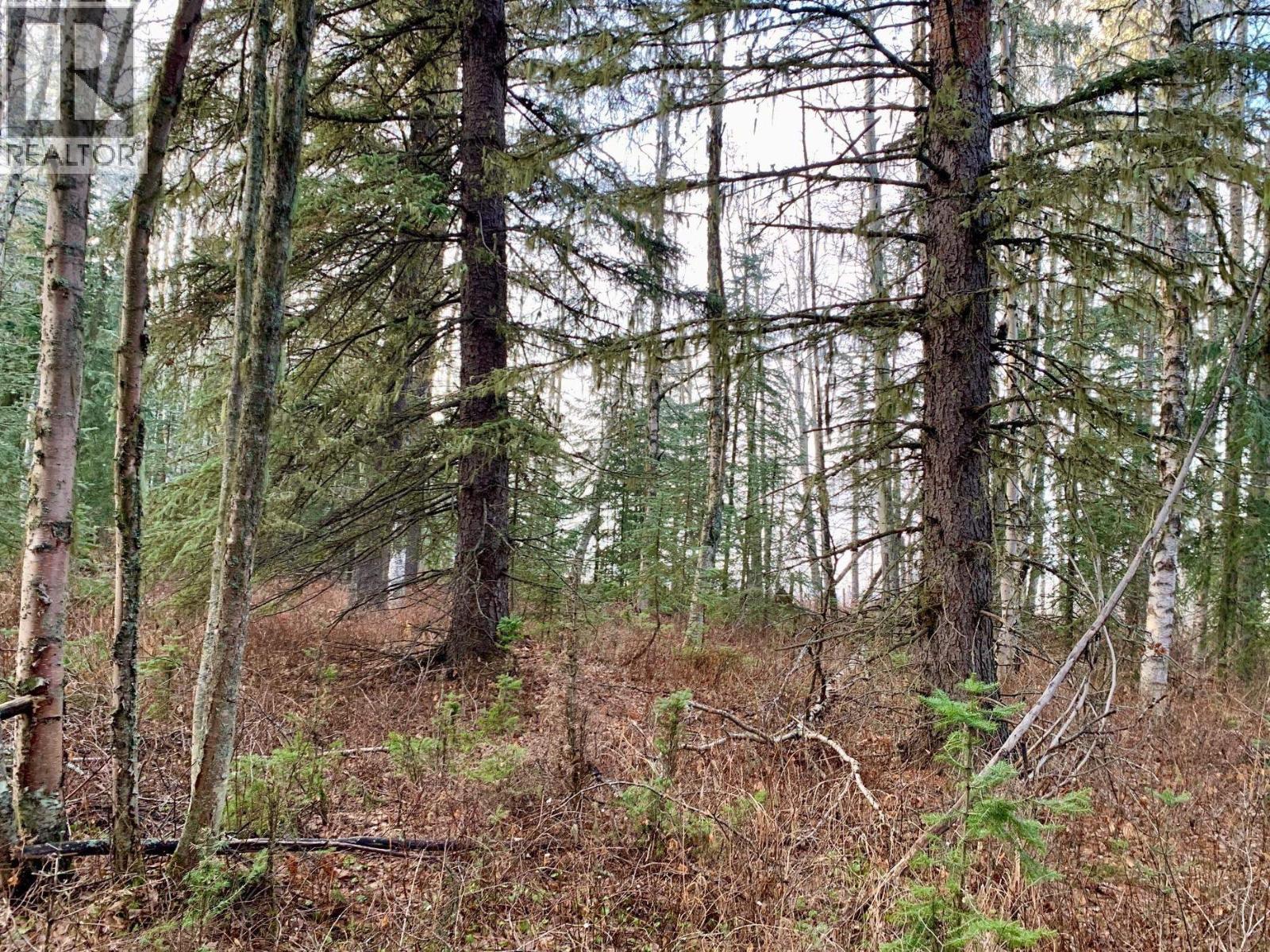 Photo 10 of 28 — 1475 KUENG ROAD · Prince George, BC