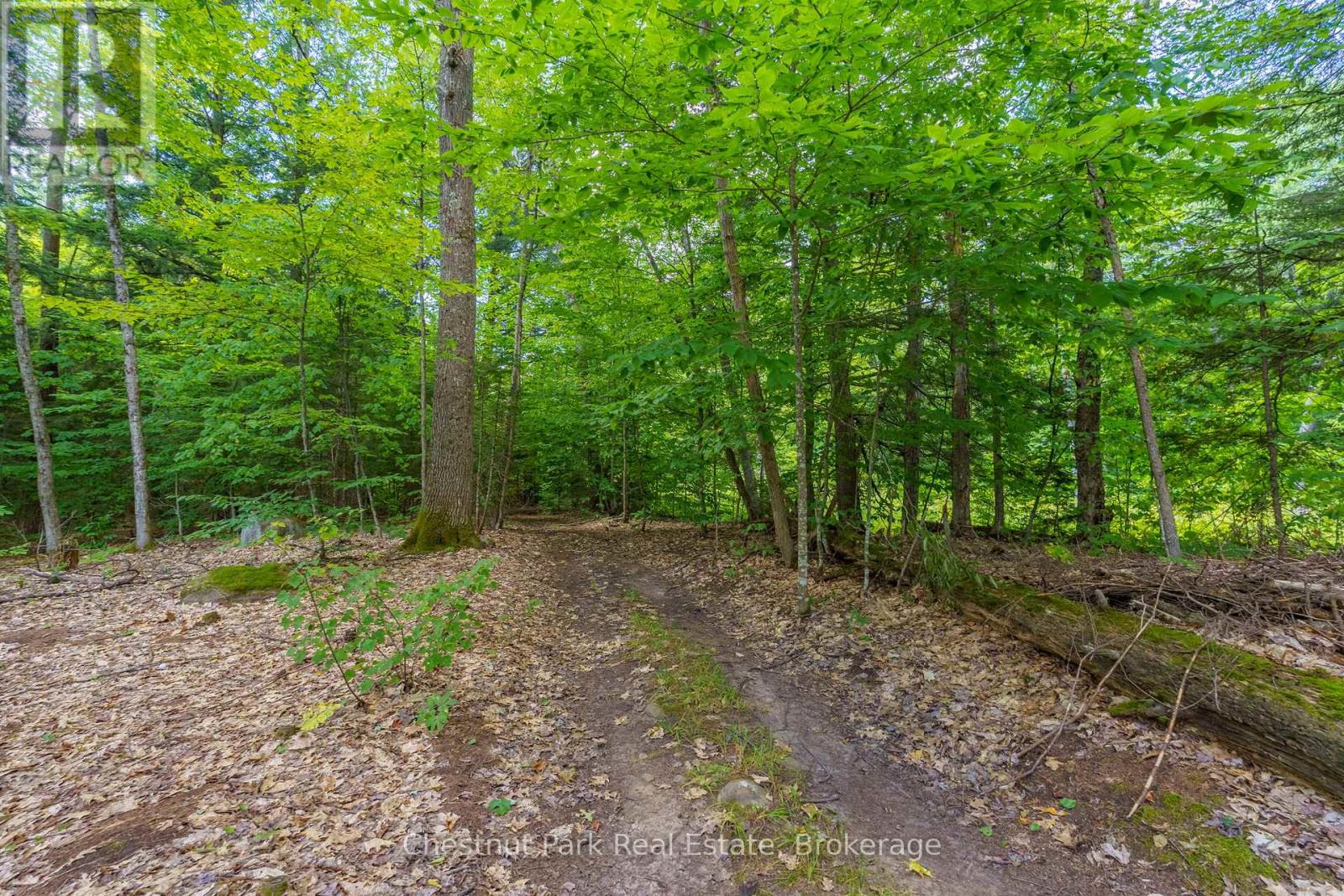 2698 OLD MUSKOKA ROAD - 44