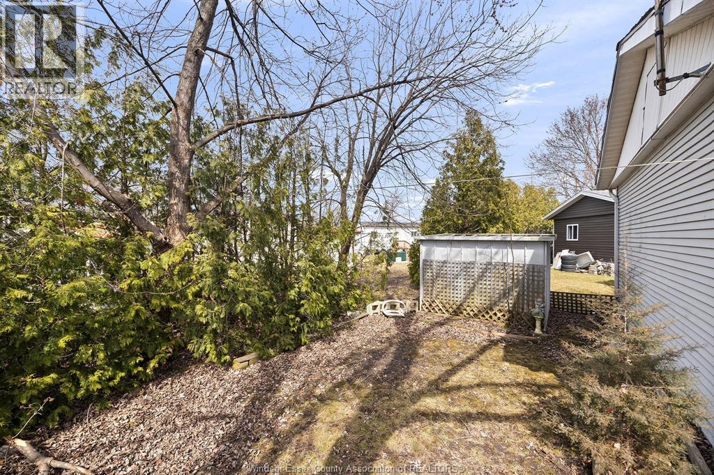 111 DANA DRIVE - 5