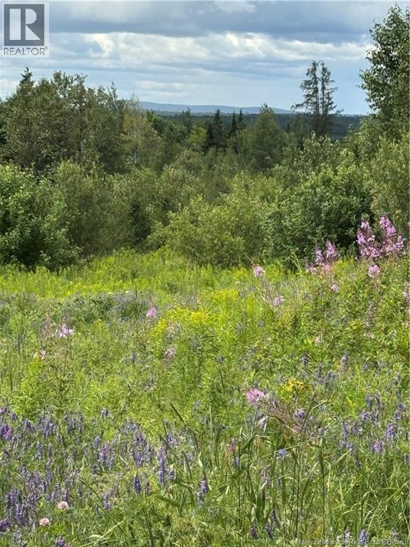 1080 BEACONSFIELD ROAD - 30