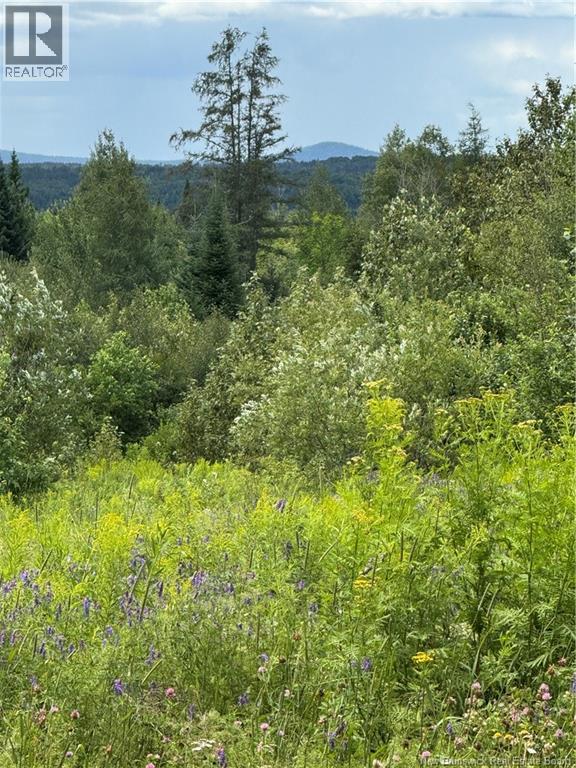 1080 BEACONSFIELD ROAD - 31