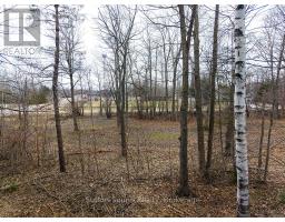 660 Main Street, South Bruce Peninsula, ON N0H2T0 Photo 34