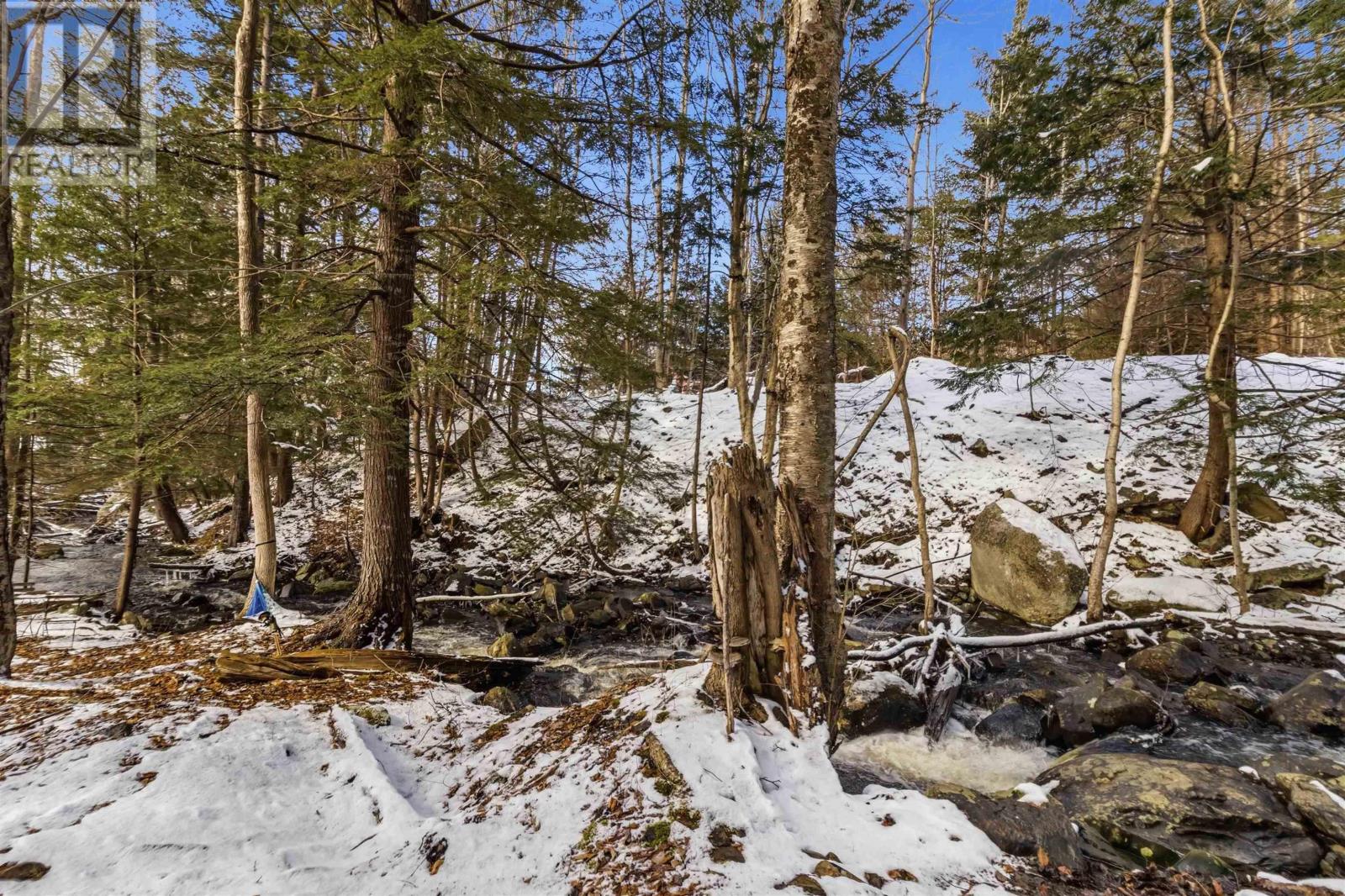 Property 26 of 31 of 12/14 Laurie Street