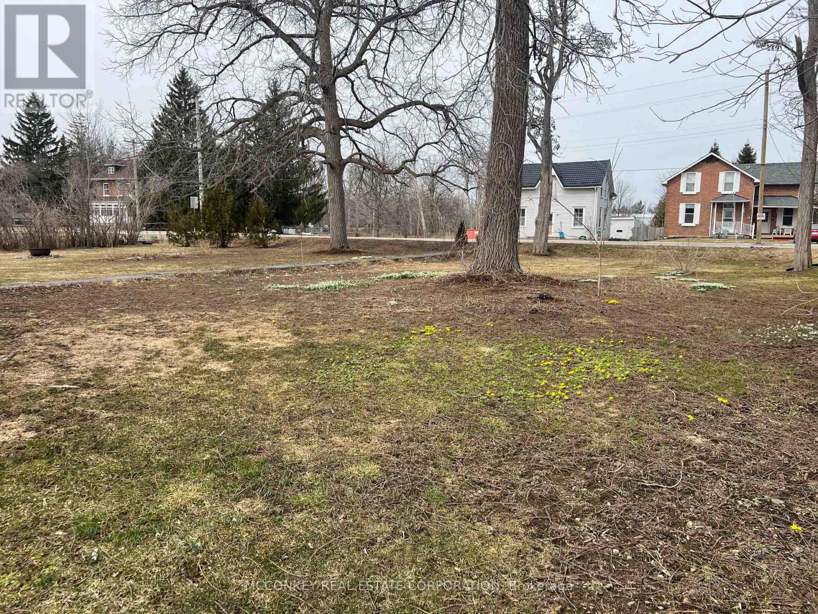 Large Front Yard