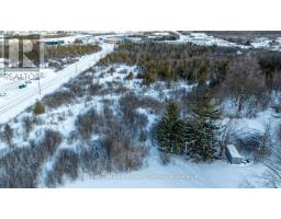 401 Raglan Street, Collingwood, ON L9Y5P9 Photo 8