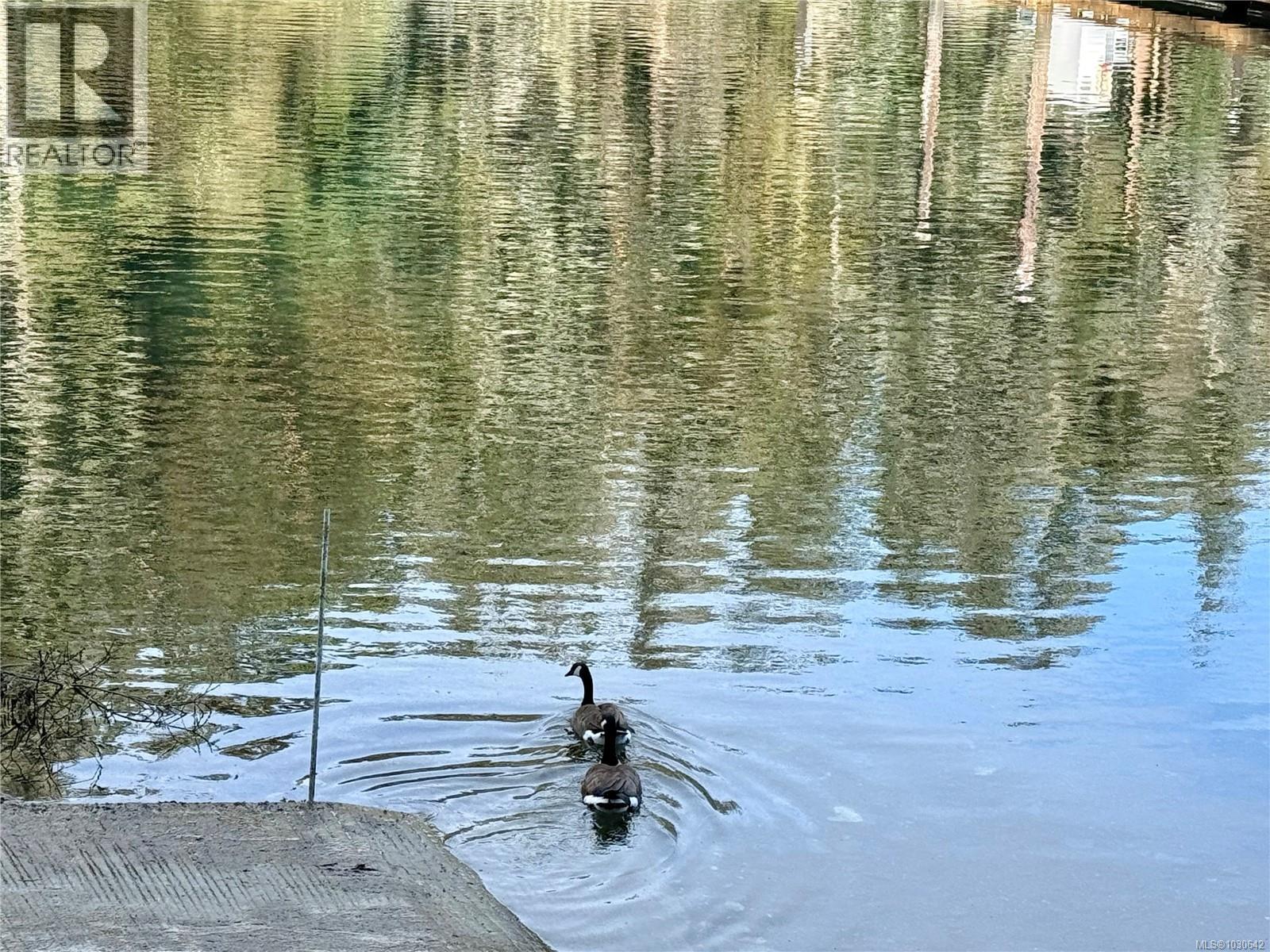 #29A 2315 MACKINNON RD - 9