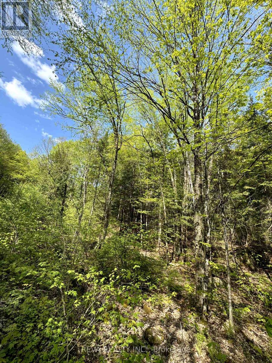 0 SALMON TROUT LAKE ROAD