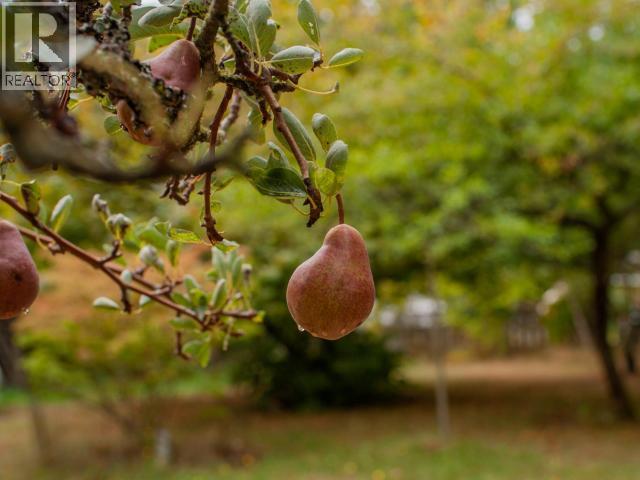 7889 HIGHWAY 101 - 18