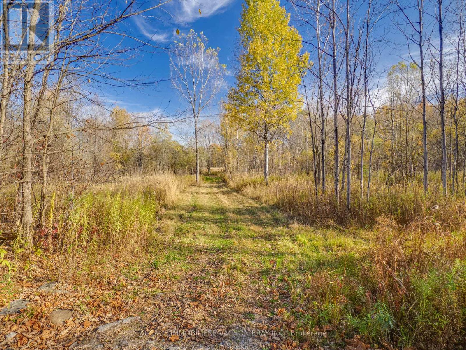 18668 CONCESSION 2 ROAD — photo 40