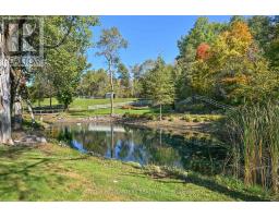 16735 Mississauga Road, Caledon, ON L7K1M8 Photo 29