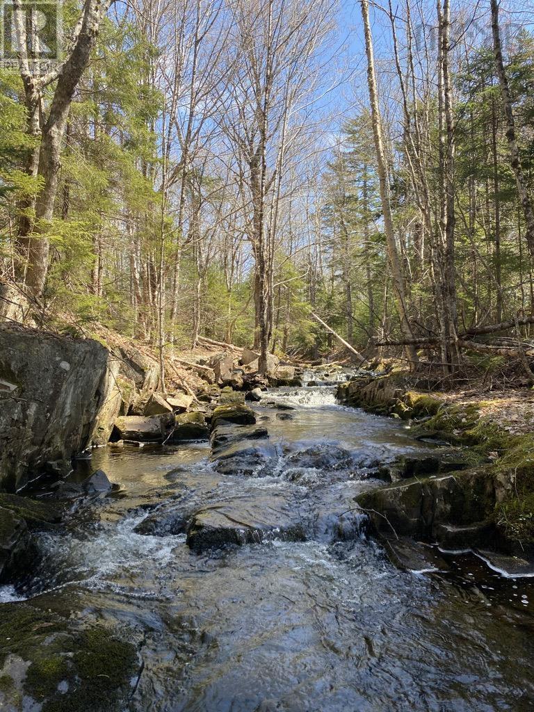 Property 4 of 29 of Acreage NO 101 Highway