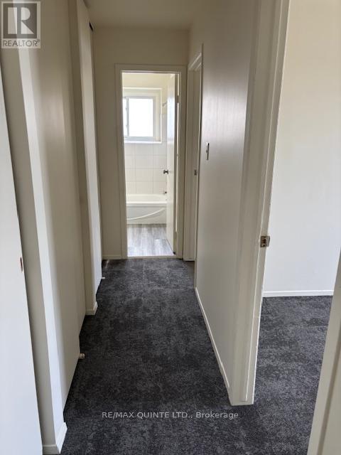60 ELGIN STREET - 18