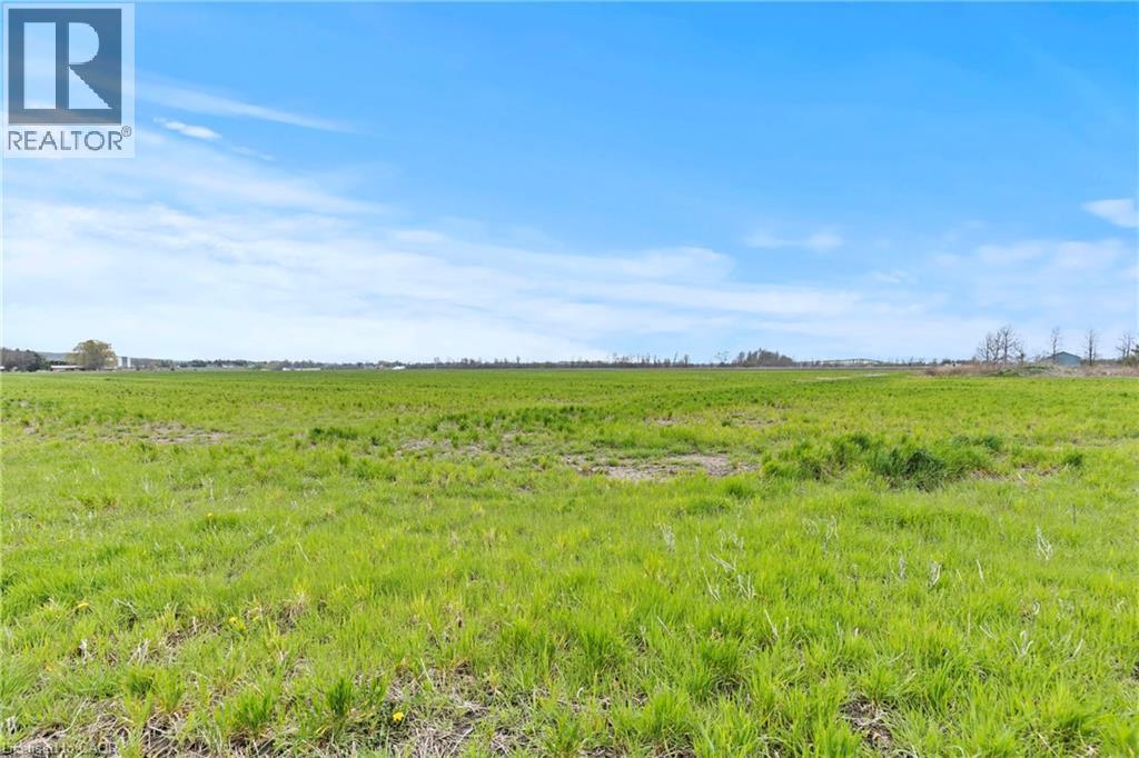 488 TOWNLINE ROAD - 45