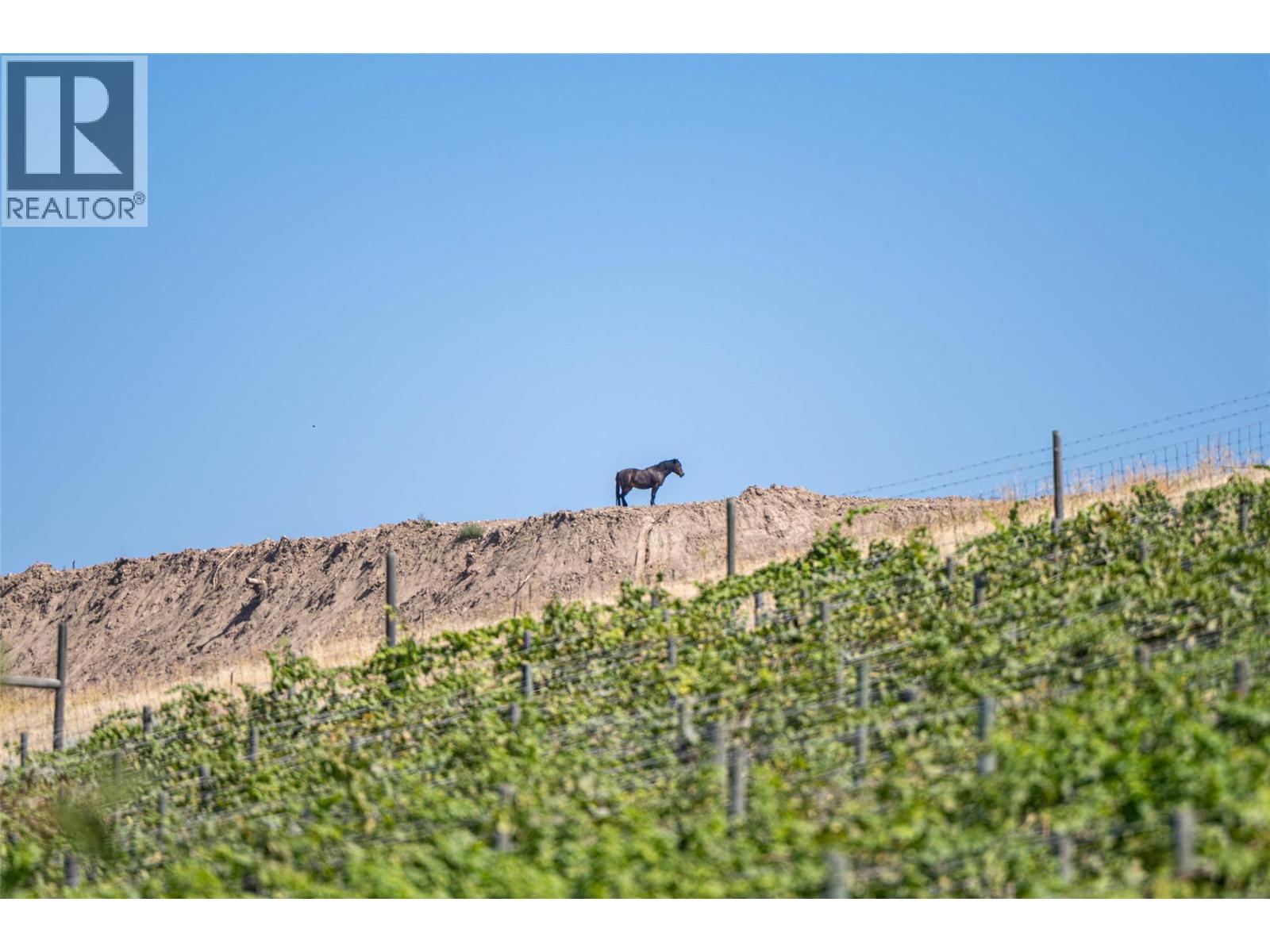 4491 HEBBERT ROAD - 24