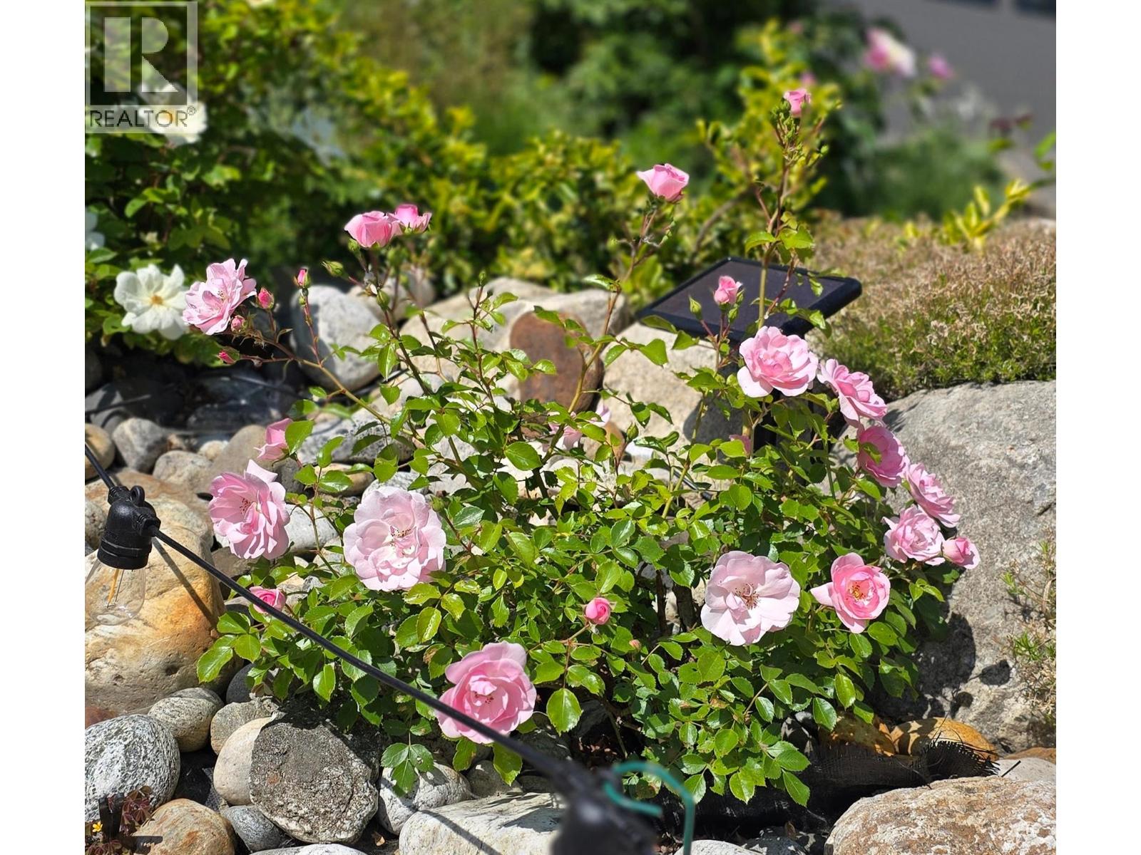  4590 71 Avenue, Salmon Arm