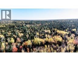 Lot Saint Charles N, Saint Charles, NB E4W4X8 Photo 10