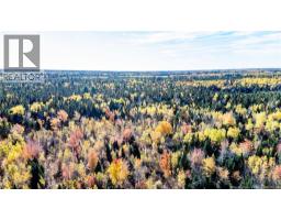 Lot Saint Charles N, Saint Charles, NB E4W4X8 Photo 9