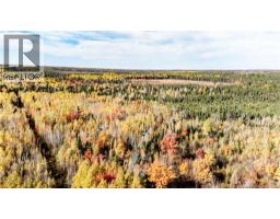 Lot Saint Charles N, Saint Charles, NB E4W4X8 Photo 7