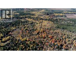 Lot Saint Charles N, Saint Charles, NB E4W4X8 Photo 19