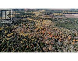 Lot Saint Charles N, Saint Charles, NB E4W4X8 Photo 17