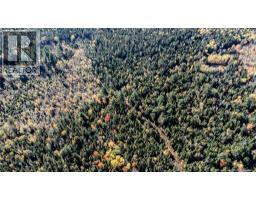 Lot Saint Charles N, Saint Charles, NB E4W4X8 Photo 15