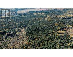 Lot Saint Charles N, Saint Charles, NB E4W4X8 Photo 16