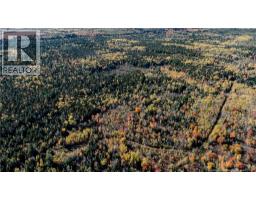 Lot Saint Charles N, Saint Charles, NB E4W4X8 Photo 20