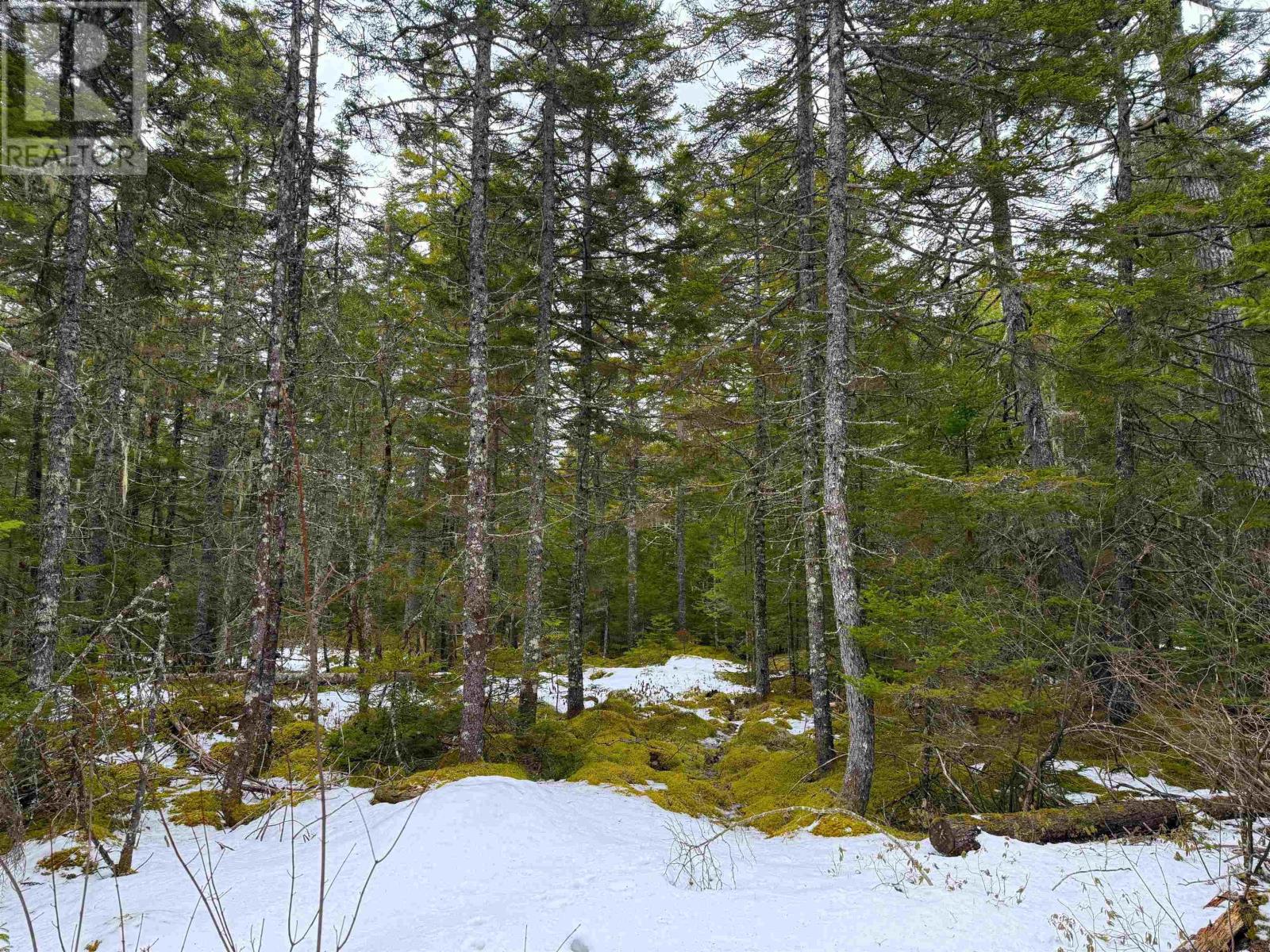 Property 8 of 10 of Lot Otter Lane