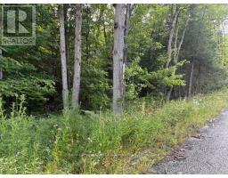 47 Summer Leigh Trail, Huntsville, ON P0B1M0 Photo 6